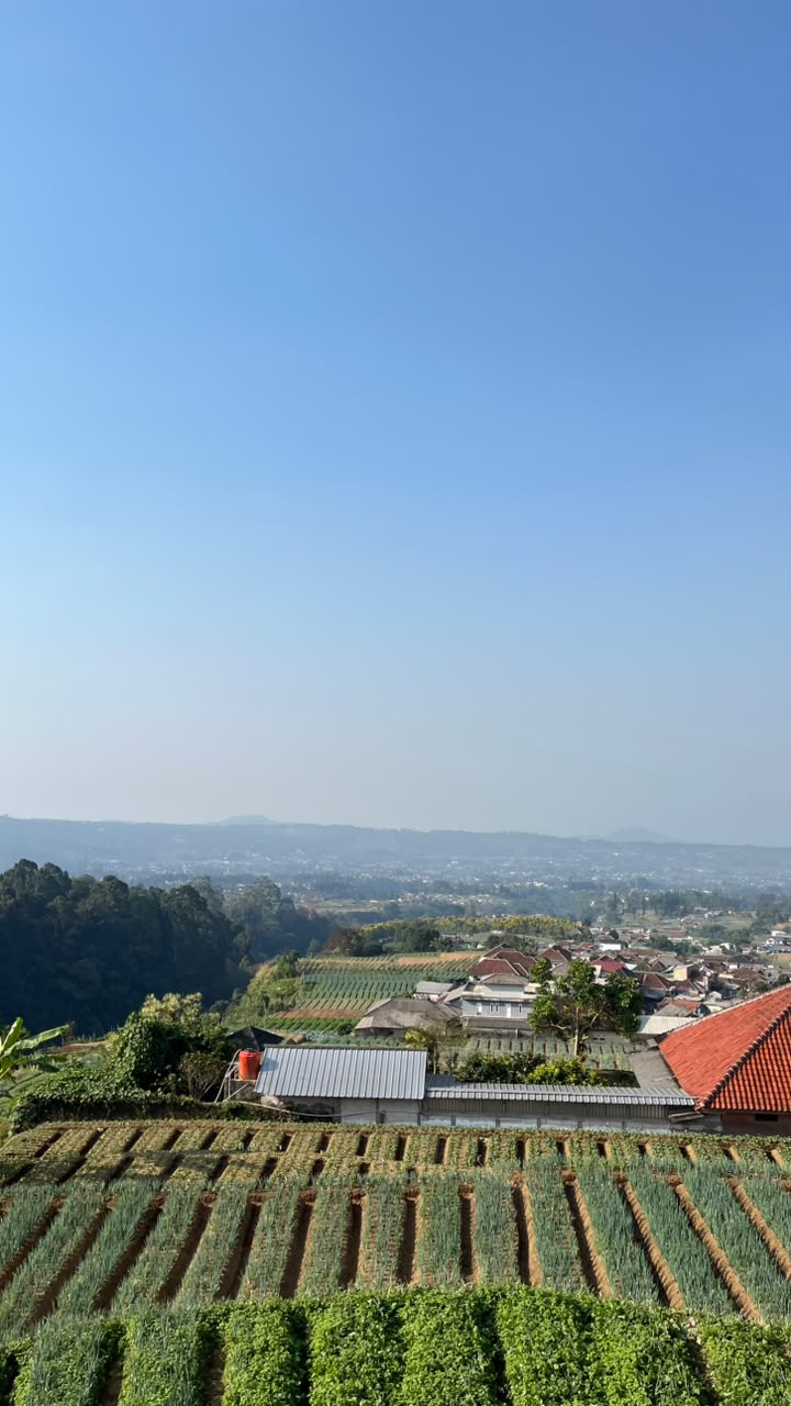 Lahan pertanian sayuran di dataran tinggi Cianjur