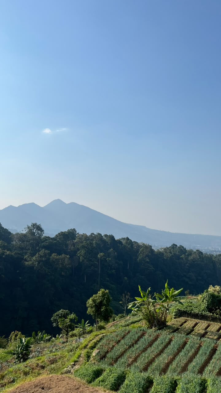 Pemandangan pegunungan dan kebun sayur Cianjur