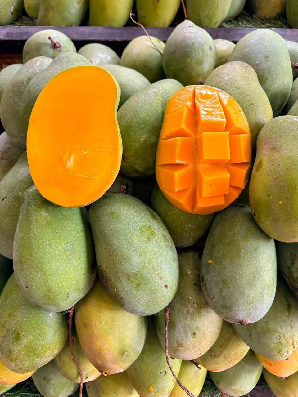 Mangga segar berkualitas premium